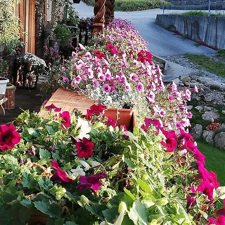Schweinsteiger Hof - Gaestehaus In Den Bayerischen Alpen Apartment Oberaudorf